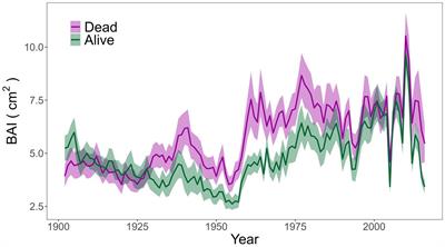 Reduced growth sensitivity to water availability as potential indicator of drought-induced tree mortality risk in a Mediterranean Pinus sylvestris L. forest